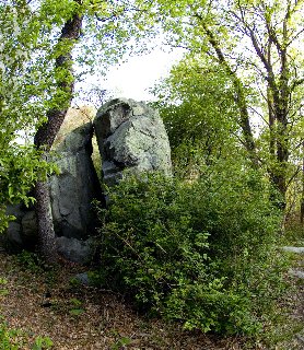 Glacial Erratic